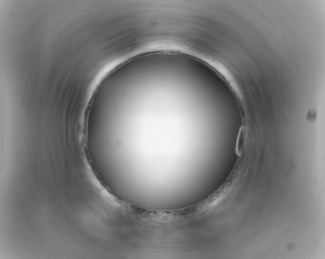 X0000093140815200710241341