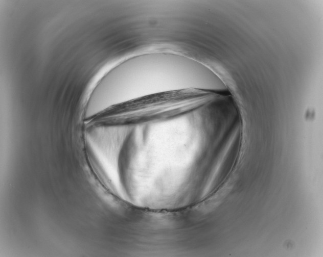 X0000093140816200710241341