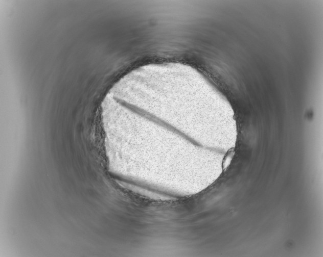 X0000093140817200710241340