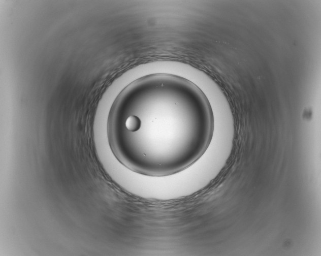 X0000093140818200710241340