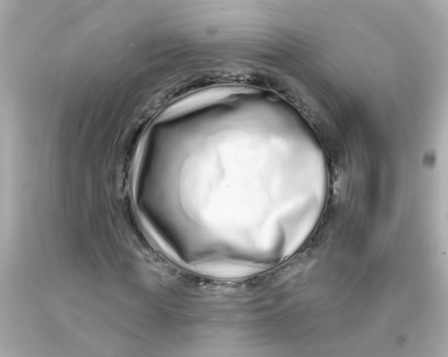 X0000093140819200710241340