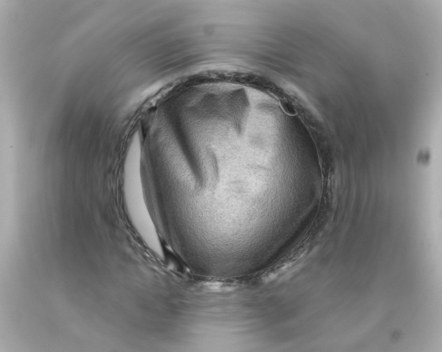 X0000093140822200710241341