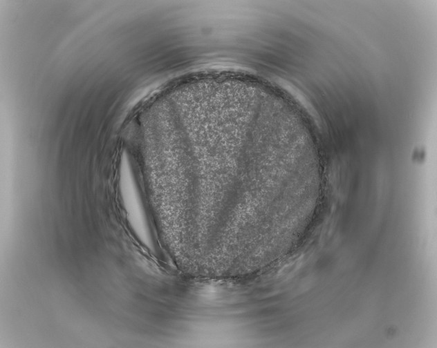 X0000093140823200710241341