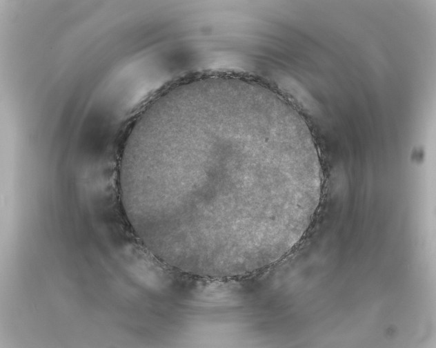 X0000093140824200710241341