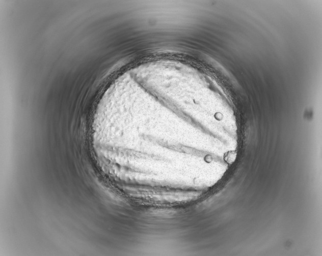 X0000093140825200710241341