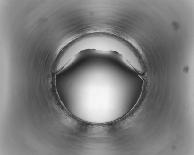 X0000093140826200710241341