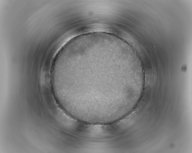 X0000093140828200710241341