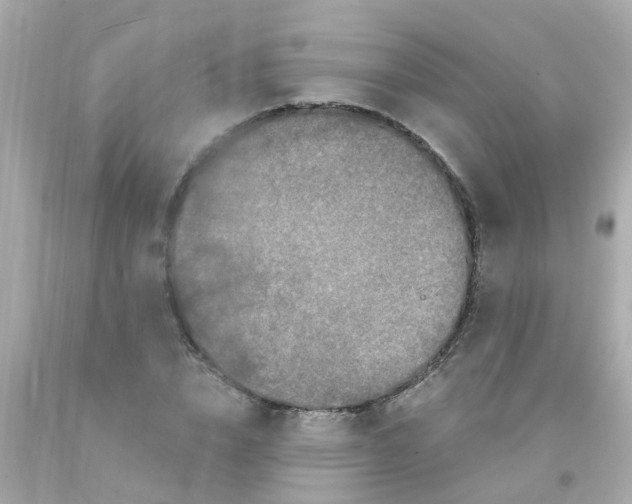 X0000093140832200710241341