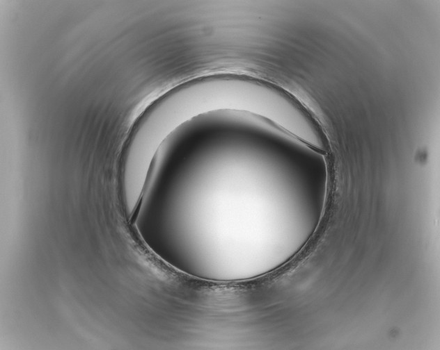 X0000093140834200710241341