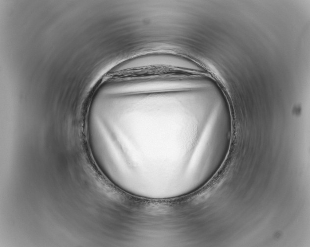 X0000093140835200710241341