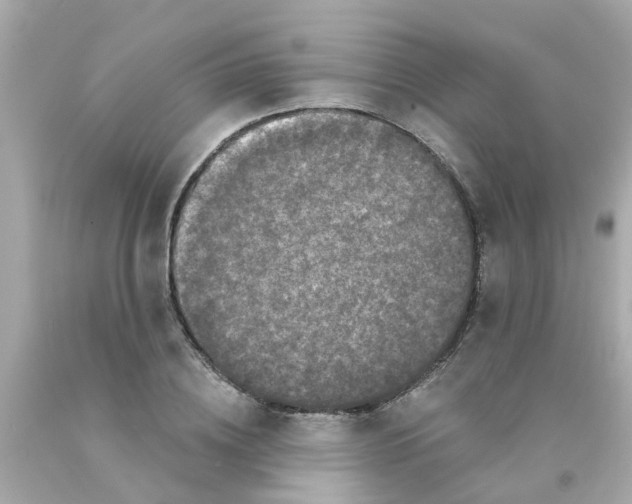 X0000093140836200710241341