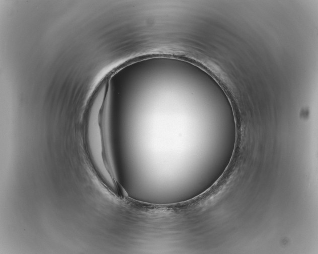 X0000093140838200710241341