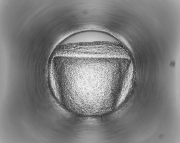 X0000093140839200710241341