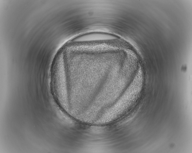 X0000093140840200710241341