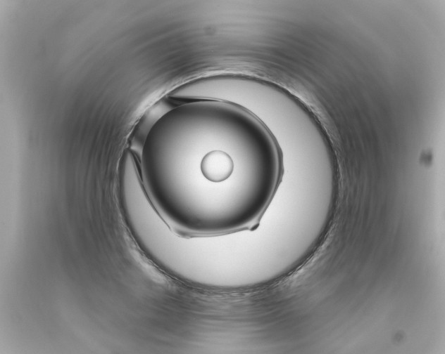 X0000093140842200710241341