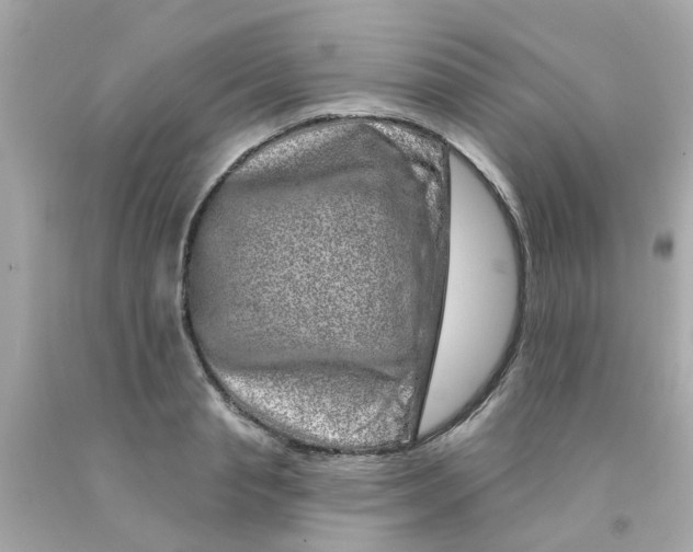 X0000093140845200710241341