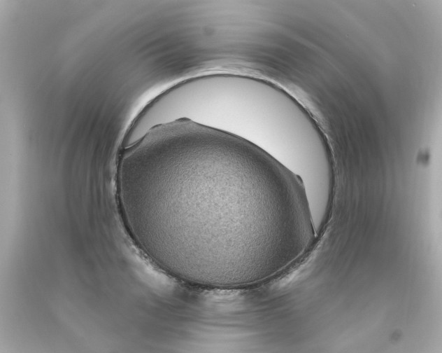 X0000093140846200710241341