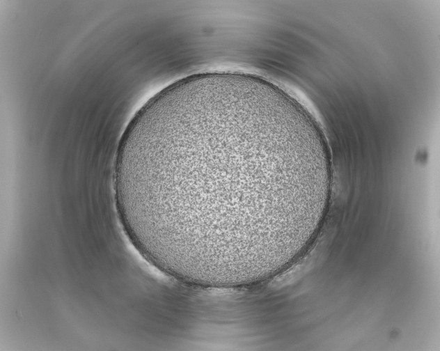 X0000093140847200710241341