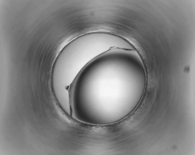 X0000093140850200710241341