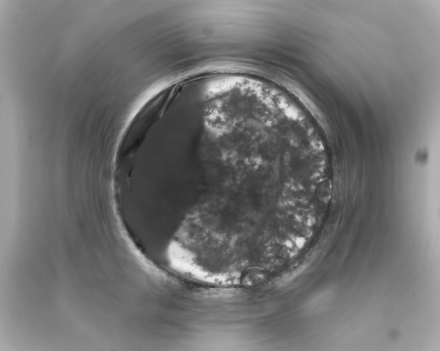 X0000093140853200710241341