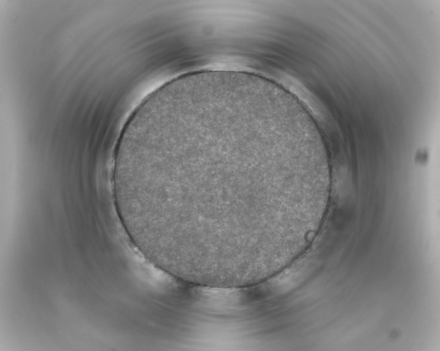 X0000093140856200710241341