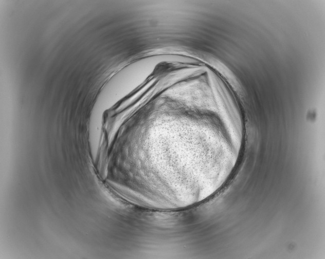 X0000093140857200710241341