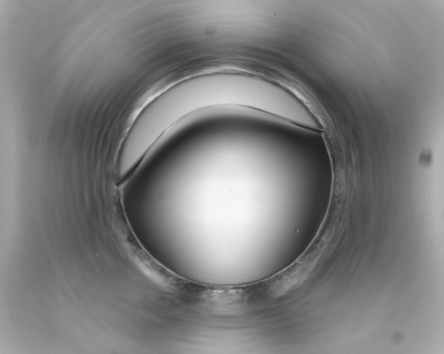 X0000093140858200710241341