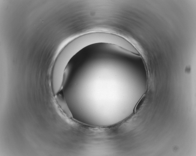 X0000093140862200710241341