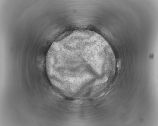 X0000093140867200710241340