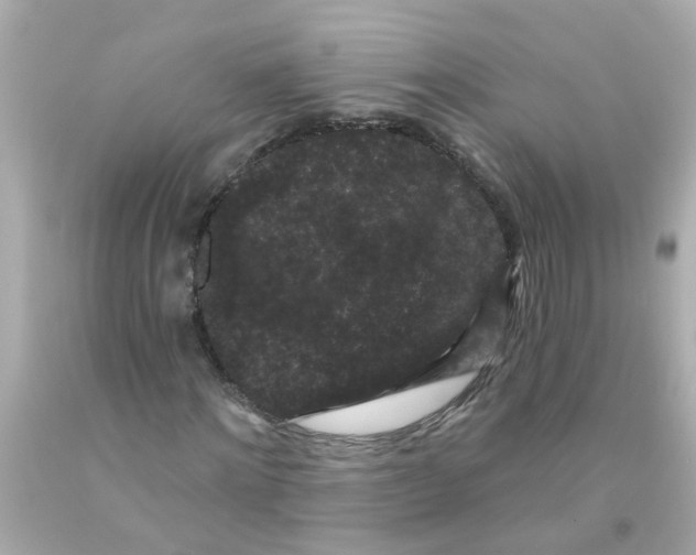 X0000093140868200710241340