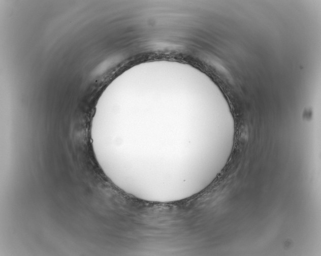 X0000093140869200710241340