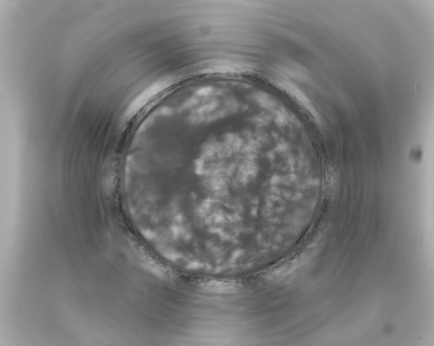 X0000093140874200710241340