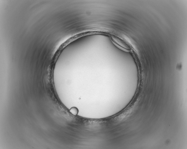 X0000093140875200710241340