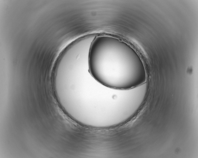 X0000093140876200710241340