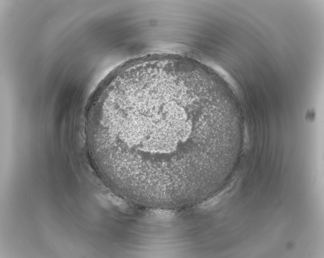 X0000093140878200710241340