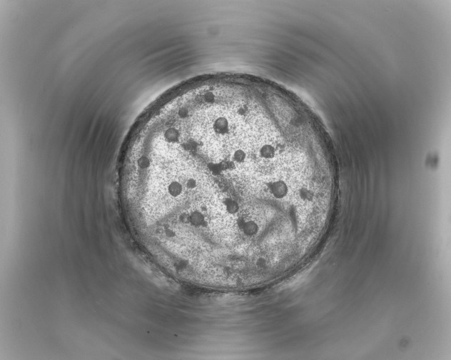 X0000093140879200710241340