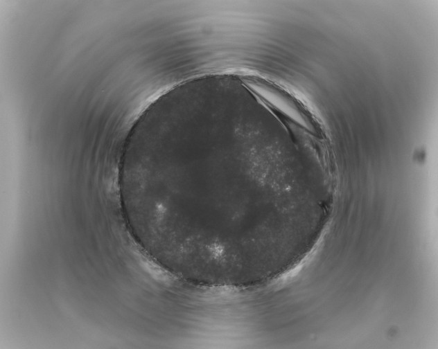 X0000093140881200710241340