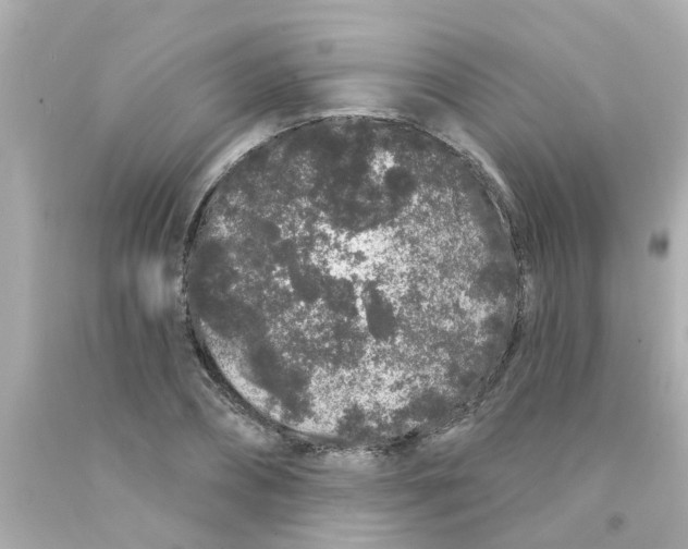 X0000093140882200710241340