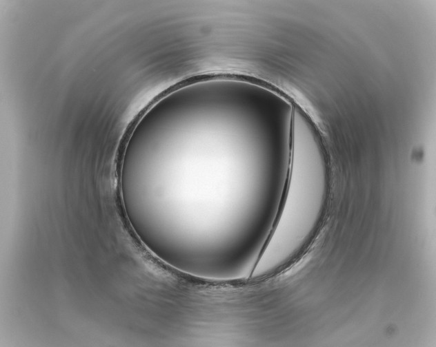 X0000093140885200710241340