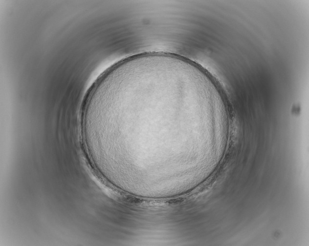 X0000093140886200710241340