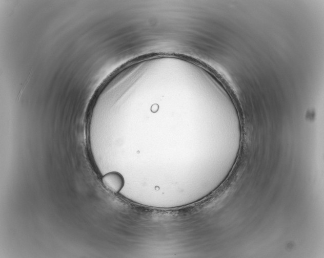 X0000093140887200710241340