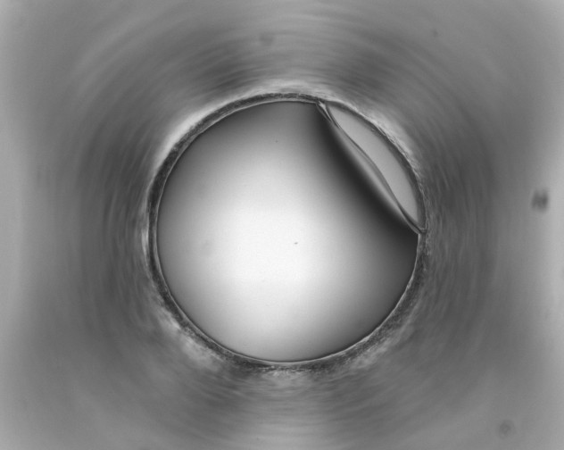 X0000093140888200710241340