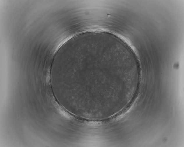 X0000093140889200710241340