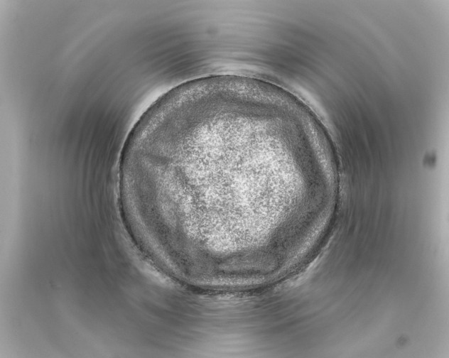 X0000093140891200710241340