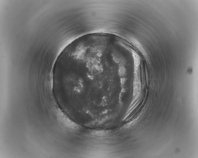 X0000093140892200710241340