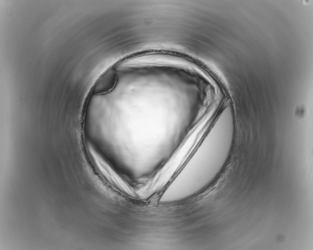 X0000093140895200710241340