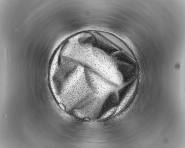 X0000093140896200710241340