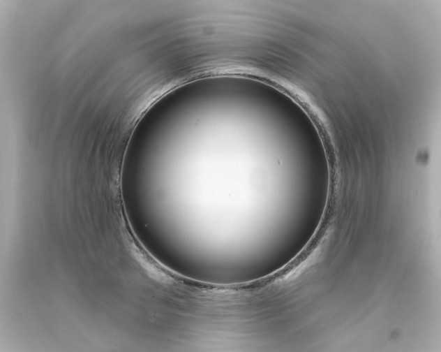 X0000093140897200710241340