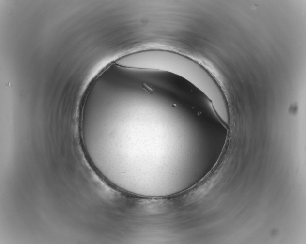 X0000093140902200710241340