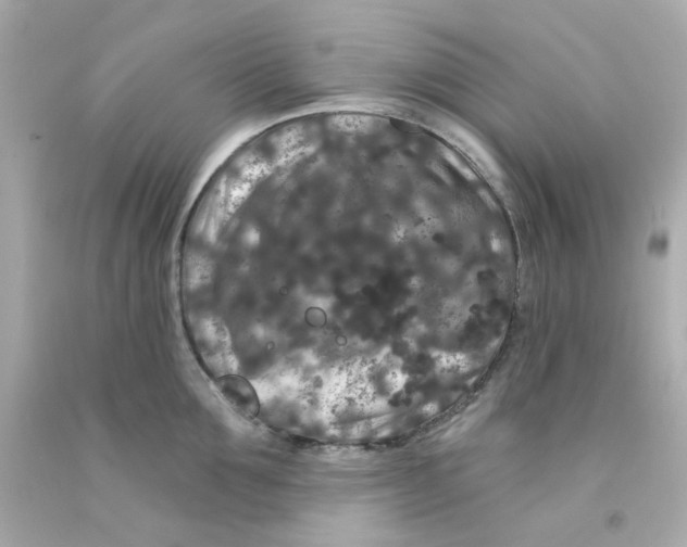 X0000093140907200710241340